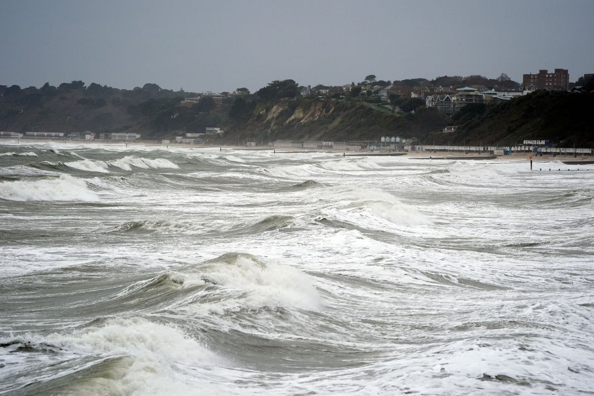Police called and sea searched as Christmas swimmers ignore weather warnings