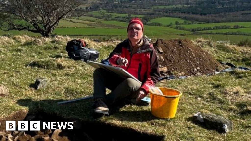 County Wicklow: Settlement find may challenge Vikings first towns theory