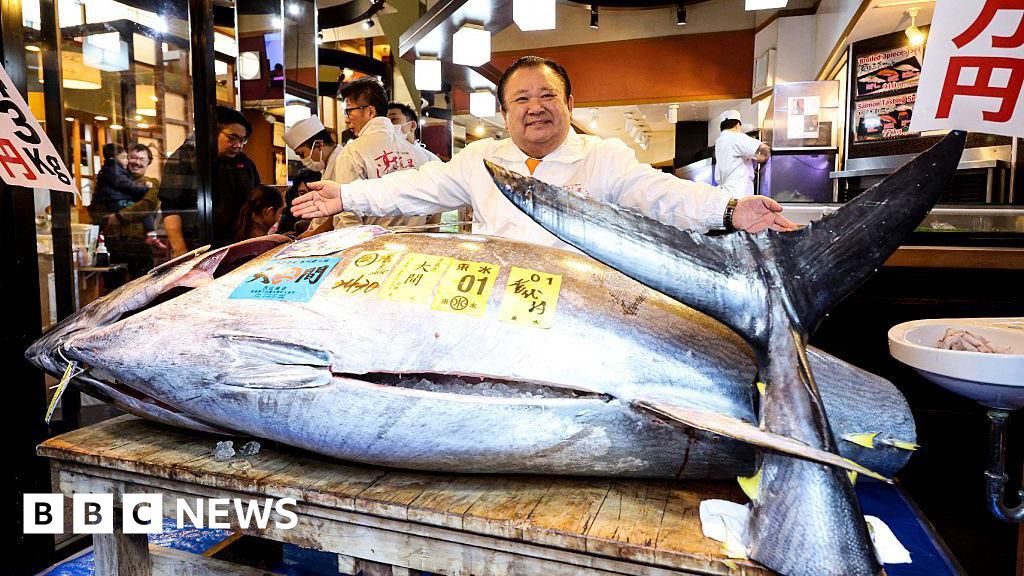Tokyo fish auction sees bluefin tuna fetching record $3.2m