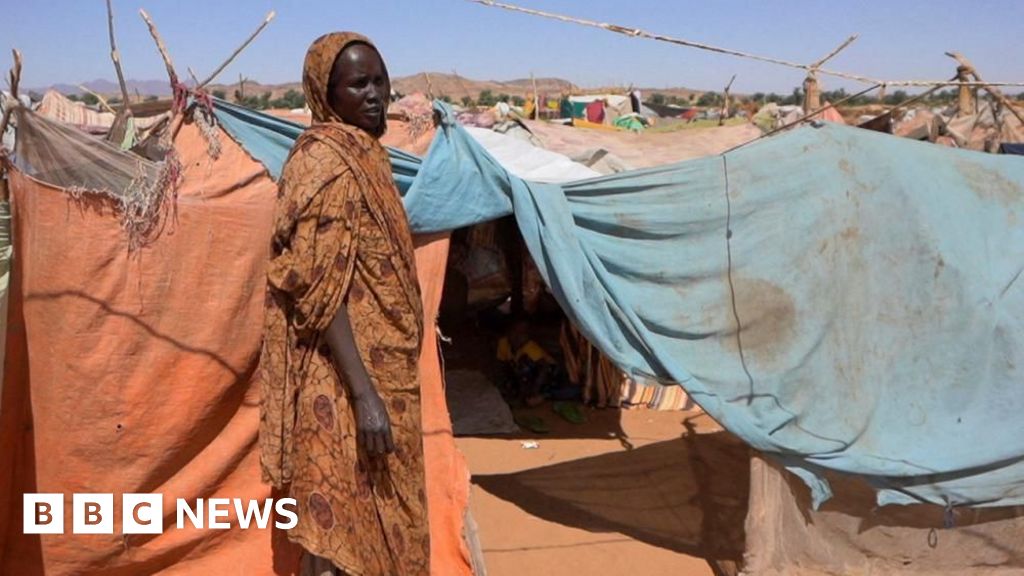 Sudan atrocities are 'hallmarks of genocide', UN says