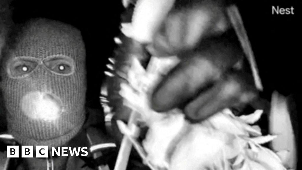 DNA found on glove that may match those in Nancy Guthrie suspect video