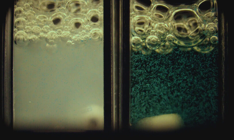 LSU scientist invents foam to fight growing threat of microplastics