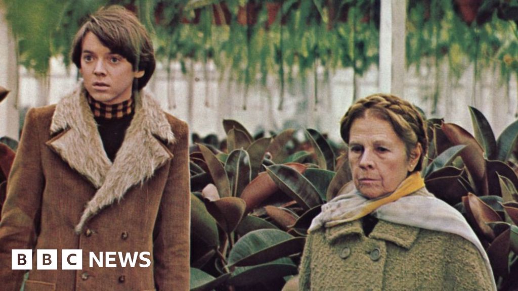 Bud Cort, star of cult classic Harold and Maude, dies aged 77