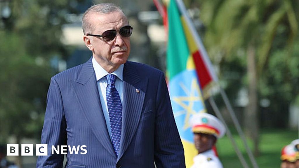 Turkey's president rejects Israel's recognition of Somaliland