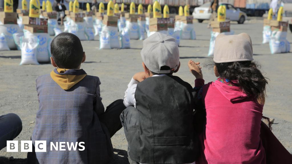 Yemen’s Houthi rebels drive aid groups to the brink